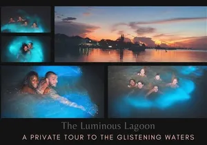 Private Tour in the Glistening Waters from Montego Bay