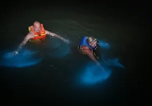 Luminous Lagoon Private Tour