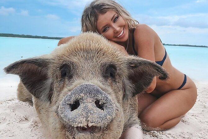 Private Swimming Pig Beach Day / 50ft or 33ft Boat / 1-10 Guests