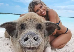 Private Swimming Pig Beach Day / 50ft or 33ft Boat / 1-10 Guests