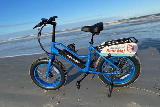 Full-Day Electric Bike Rental