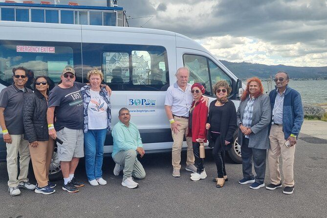 Matakana Art & Horse Riding Experience Private Tour From Auckland
