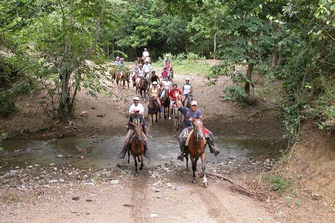 Bayahíbe Horseback Riding & River swimmig