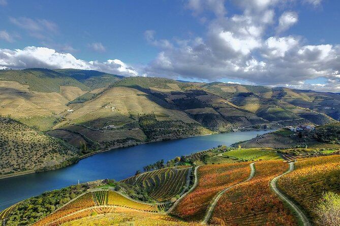 Porto Valley Tour The Wealth of All-Inclusive Wine