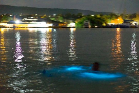 Luminous Lagoon Sightseeing Tour in Montego Bay