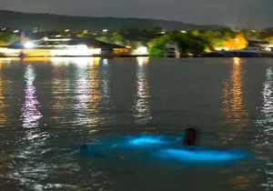 Luminous Lagoon Sightseeing Tour in Montego Bay