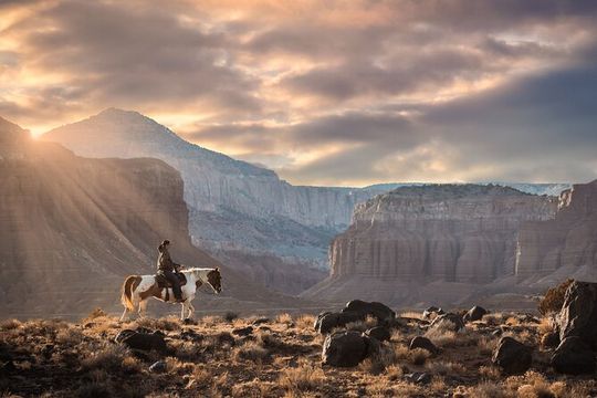 1-Hour Western Horse Ride