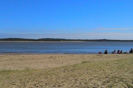 Taichi & Qigong Class in Naples, Florida