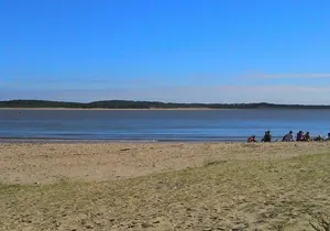 Taichi & Qigong Class in Naples, Florida