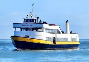 San Francisco Bay Cruise and City Combo Tour