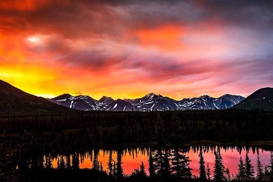 Three Day Private Denali Photo Workshop