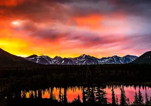 Three Day Private Denali Photo Workshop