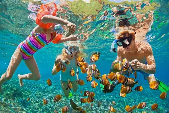 Snorkeling with Boat ride & Margaritaville Hip-Strip Montego Bay