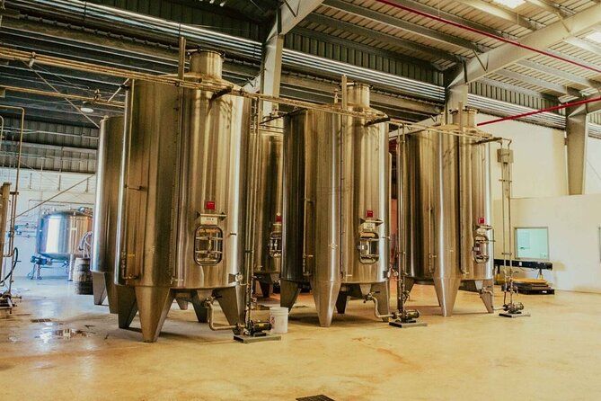 Wine Tour and Cruise Trier Private Tour
