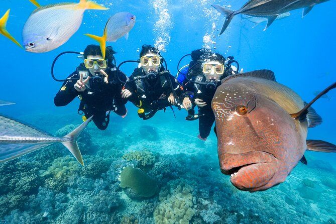 Reef Tour with SCUBA Dive from Cairns, pontoon with activities
