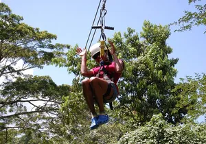 Ziplining Dunn's River Falls Excursion from Falmouth