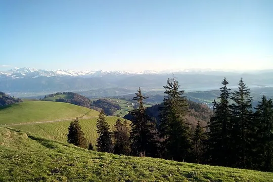 4-hour Quad Tour near Zurich