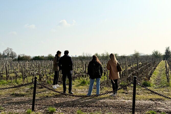 Medoc 1855 individual Half Day Wine Tour