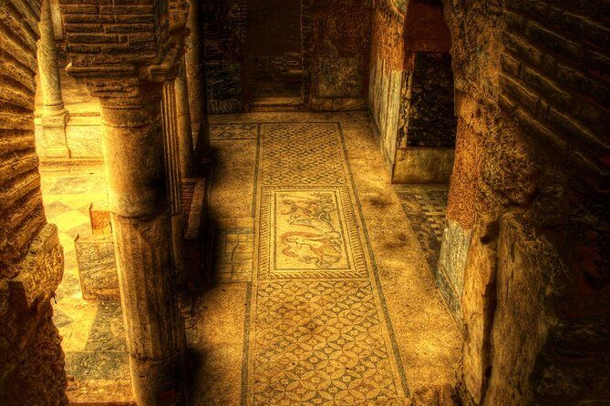 Private Tour to Ephesus - NO UNWANTED SHOPPING STOPS