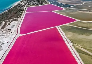 2 Days Private Tour in Aguas Rosas and Cenotes