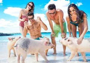 Swimming Pigs, Turtles & Reef Snorkel in Nassau-Champion Tours