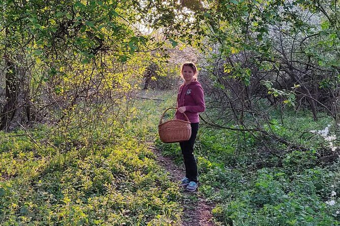 Herbal and Wild food walking tour in Warsaw area