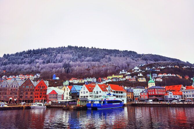 2day tour Bergen to Flåm Næroyfjord Sognefjord and Hardangerfjord