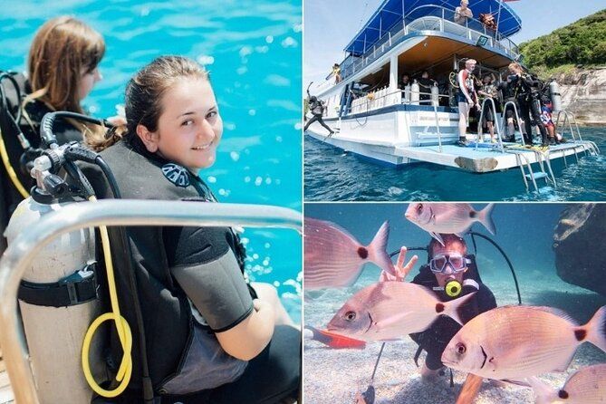 Marmaris / Icmeler : Scuba Diving with Lunch and Transfer