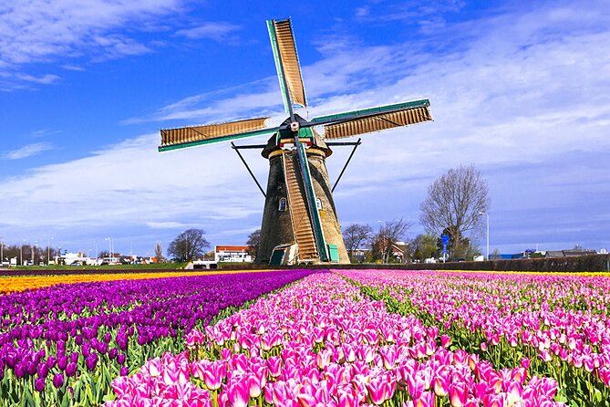 Keukenhof Tulips & Delft Day Trip from Brussels – Guided Tour