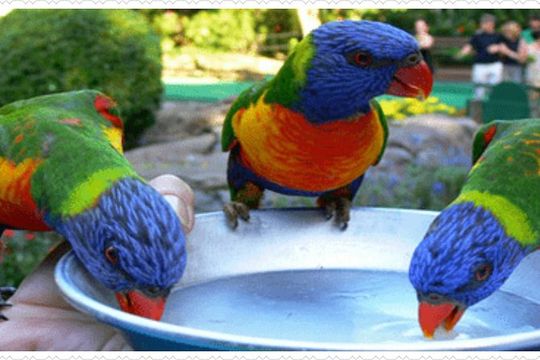 Rockland Bird Sanctuary Private Tour