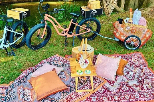Northern Rivers Rail Trail Ebike and DIY Picnic Hire Full Day