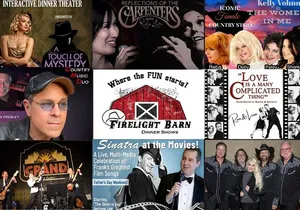 Guest Artists at Firelight Barn in Henderson