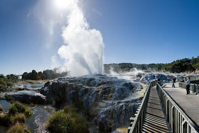 Private Tour From Auckland To Rotorua incl. Te Puia & Māori Haka