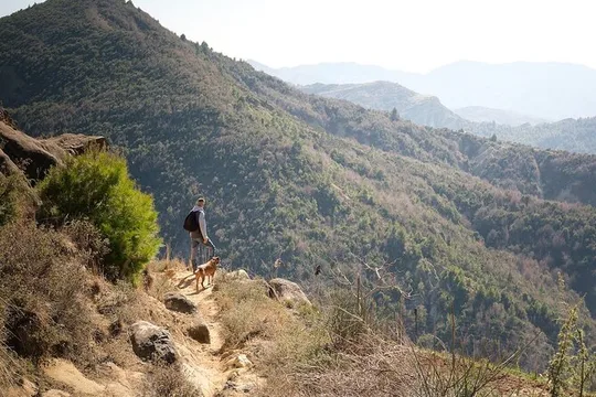 Tirana's Mini-Everest - Mali i Vrapit Hike and Village Lunch