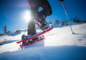 Winter Hiking Set for Snowshoes and Trek Poles