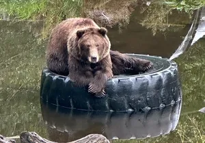 Sitka Scenic Private Tour