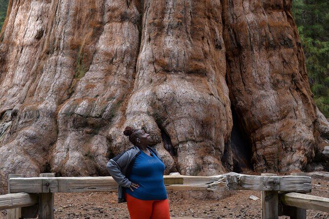 Private 2-Day Tour to Sequoia and Kings Canyon Parks from LA