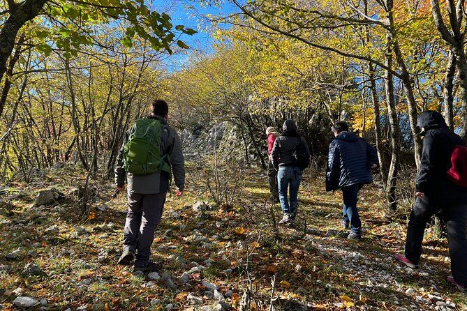 Full-Day Private Tour Truffles Lovers Experience with Lunch