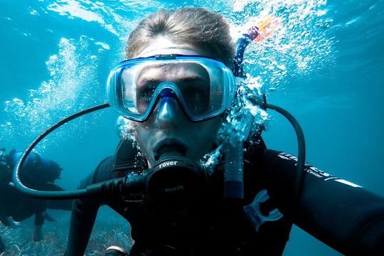 Whale and Dive Combo Tour in Los Cabos