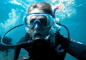 Whale and Dive Combo Tour in Los Cabos