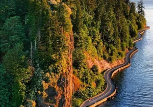 Explore Stanley Park on Electric Scooters