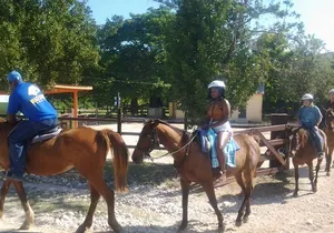 Horseback Ride Ziplining and Dunn's River Falls Adventure from Montego Bay,