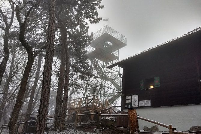 3-Hour Private Hiking Tour over Parapluie Mountain with a View of Vienna