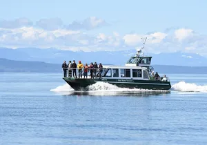 Intimate West Coast Whale Watching - Partly-Sheltered