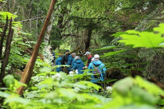 Chilkat Inlet Coastal Hike in Haines