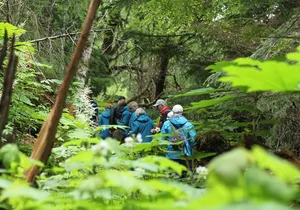 Chilkat Inlet Coastal Hike in Haines