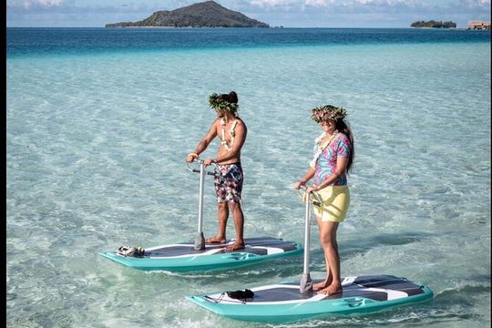 Private Electric Paddle Cruise in Bora Bora