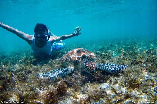 Cancun & Yucatan: See & Experience ALL in 7 Days, 1st Class Tours