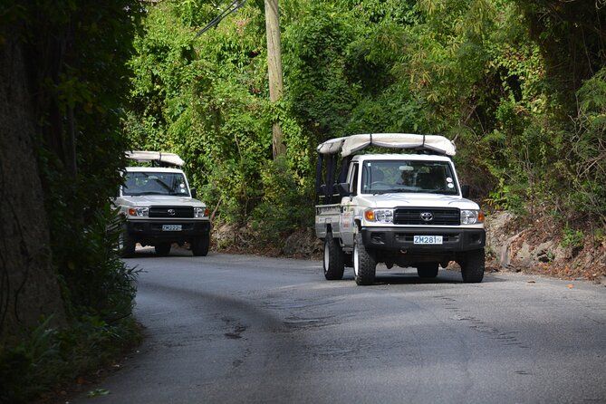 Discovery Safari