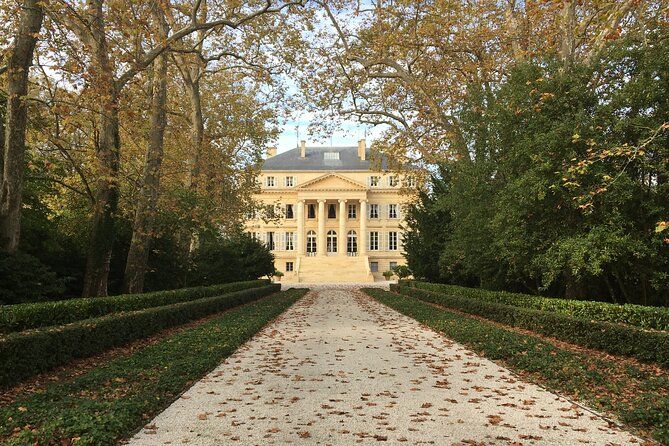Discover Médoc the Birthplace of the 1855 Classification